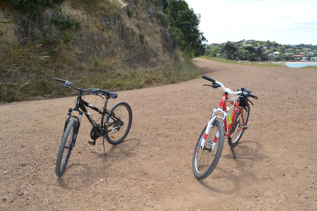 Album - Waiheke-island