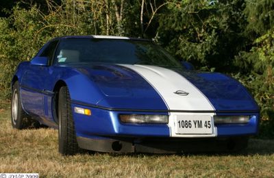 Chevrolet.Corvette.Mustang and co ...American legend