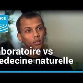 Malaria business : les laboratoires contre la médecine naturelle ?