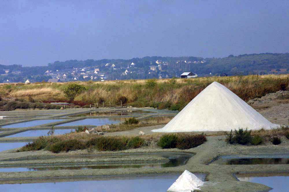 Album - Les Marais-salants de Guerande