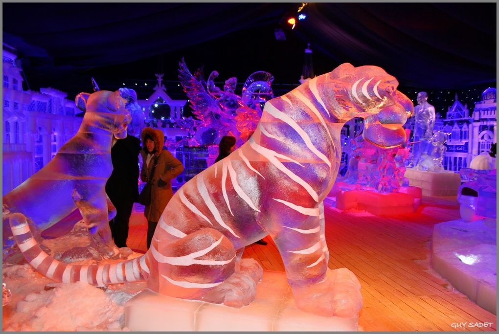 Album - Sculptures sur glace Bruges 2011