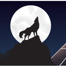 Le crépuscule du photovoltaïque, trop cher !