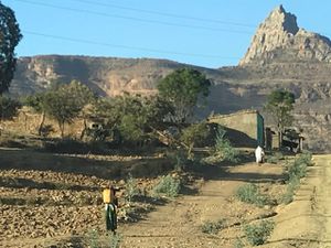 GONDAR - PARC SIMIEN - AXOUM - Massif du Ghéralta (Tigré )