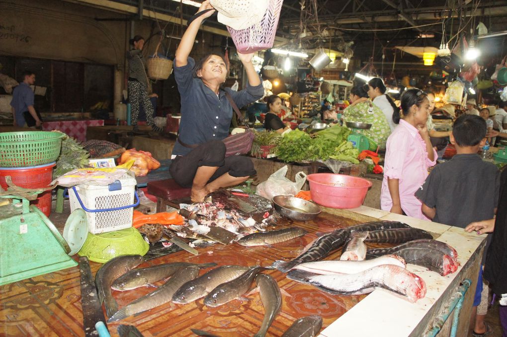 Album - Angkor-mars-2011