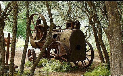 Locomobile à vapeur, dans une oliveraie à ouled Arbi près de El Milia