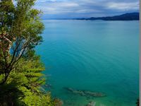 Abel Tasman