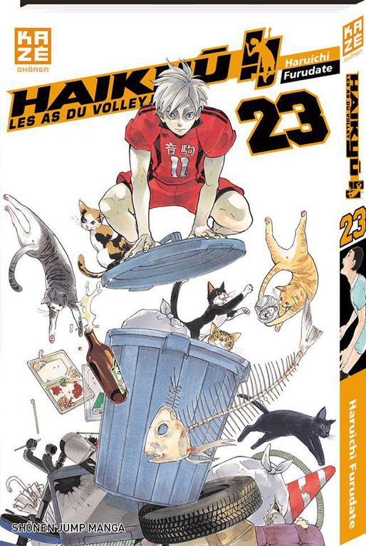 DES GOODIES POUR LES TOMES D'HAIKYU 23 ET RAINBOW DAYS 10