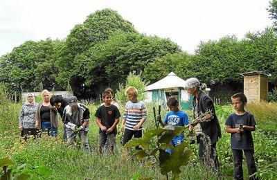 Des écoliers solidaires au potager Pot-Coz