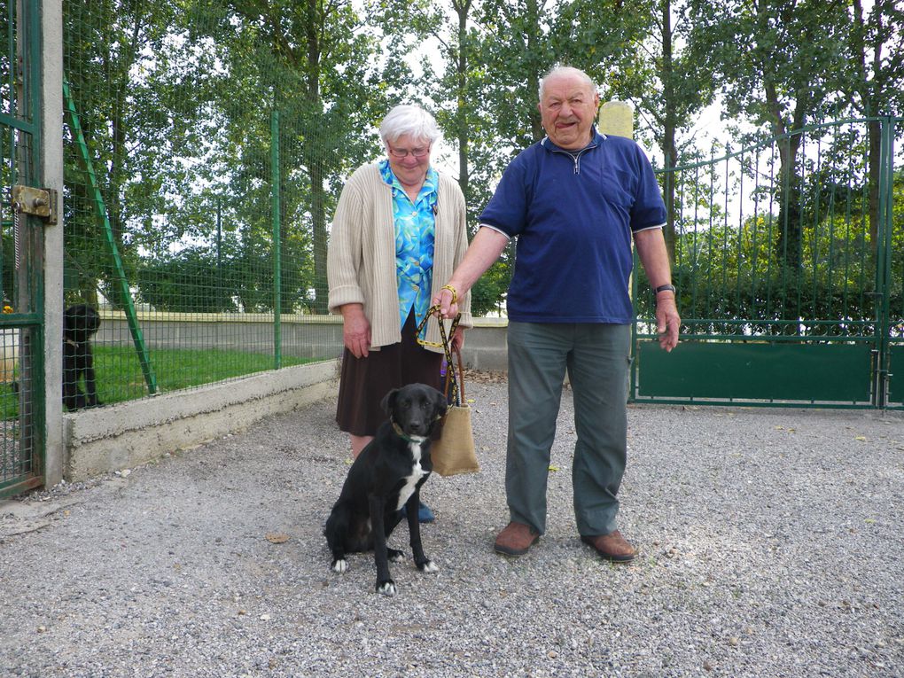 Album - CHIENS-ADOPTES-juillet-août-septembre-10.