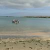 62 ème jour - Galapagos - Croisière 4 jours - Isla Floreana