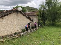 On termine par une très vieille et belle glycine, merci à Pat et Yves pour les photos