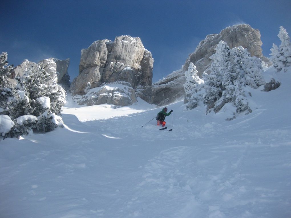 Thomas et Rico la truffe pleine de neige.