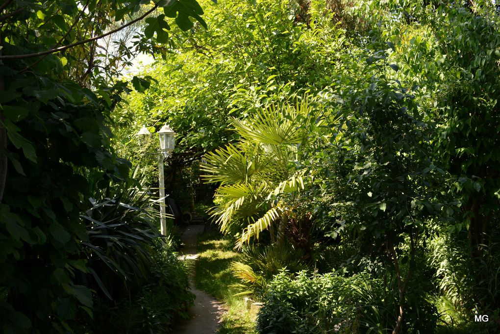 Le jardin de Vincenzo Campisano à Sin-le-Noble.