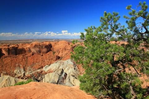 Album - Canyonlands