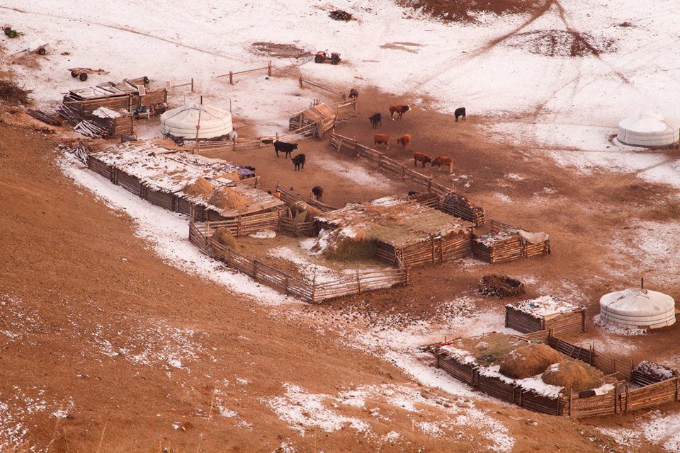 Découverte de la Mongolie en hiver - janvier 2014