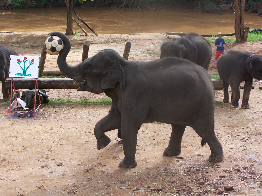 Un deuxième tour à partir de Bangkok pas si plaisant que ça ... mais avec de bons souvenirs tout de même ... la Thaïlande, c'est la Thaïlande tout de même !