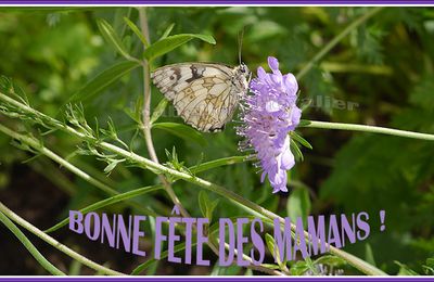 BONNE FÊTE DES MAMANS !