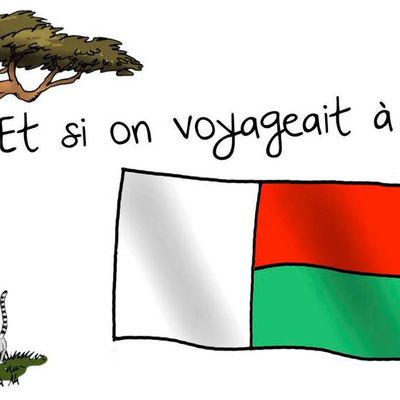 L'impact de l'homme et le commerce illégal des lémuriens à Madagascar