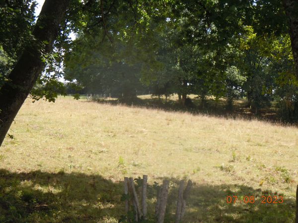 Corrèze in Summer