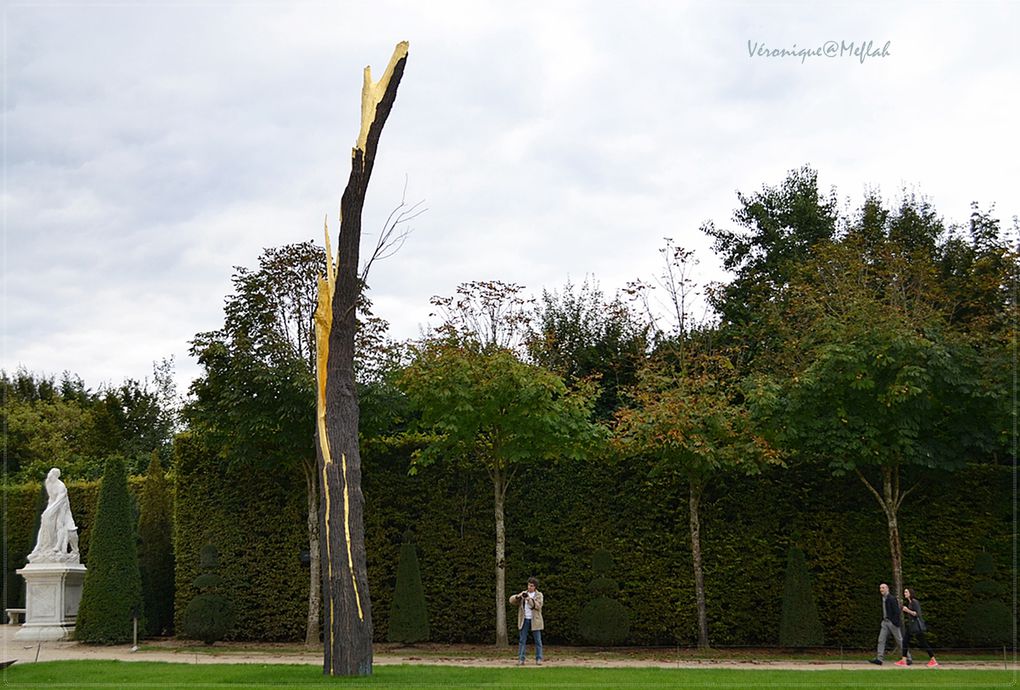 Château de Versailles et ses jardins