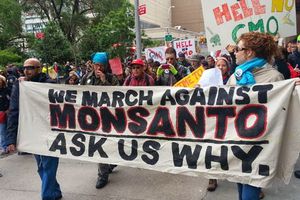 L'esercito USA opera per la Monsanto per colpire gli attivisti NO-OGM