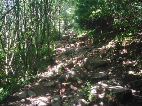 On a beau avoir une petite portion sous les arbres, ça grimpe dur.