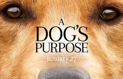 [4K-HD] Egy kutya négy élete film (IndaVideo) | Online Filmek