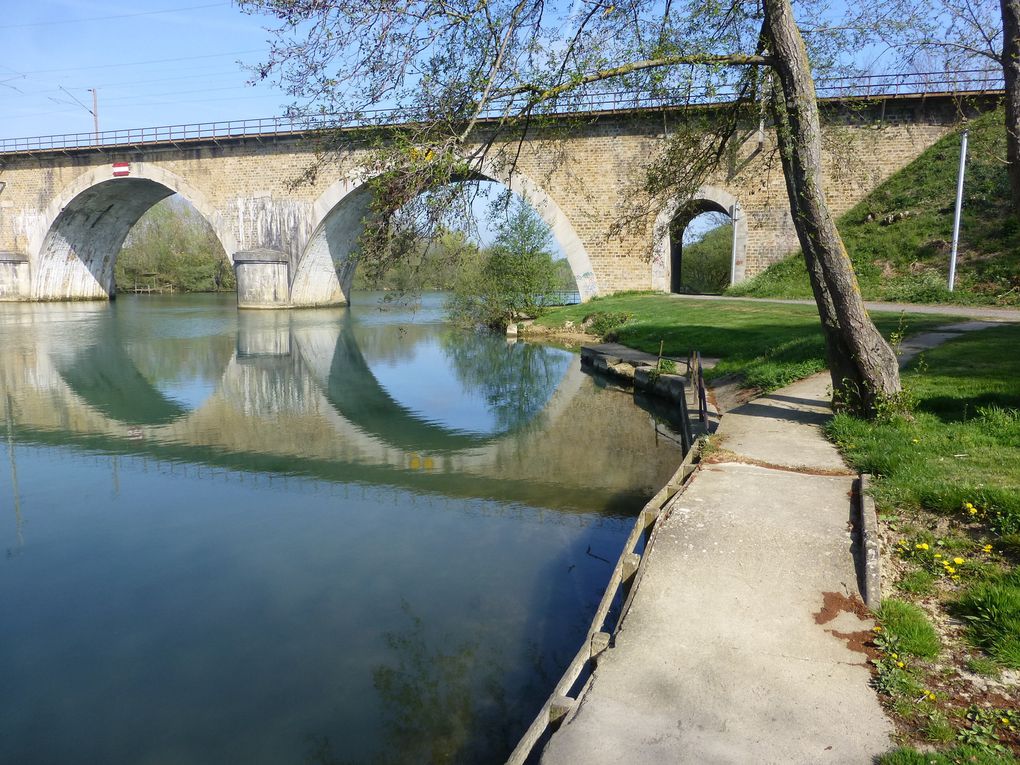 Dédé remonte &quot;la MARNE&quot; à pied pour une bonne cause !!!!