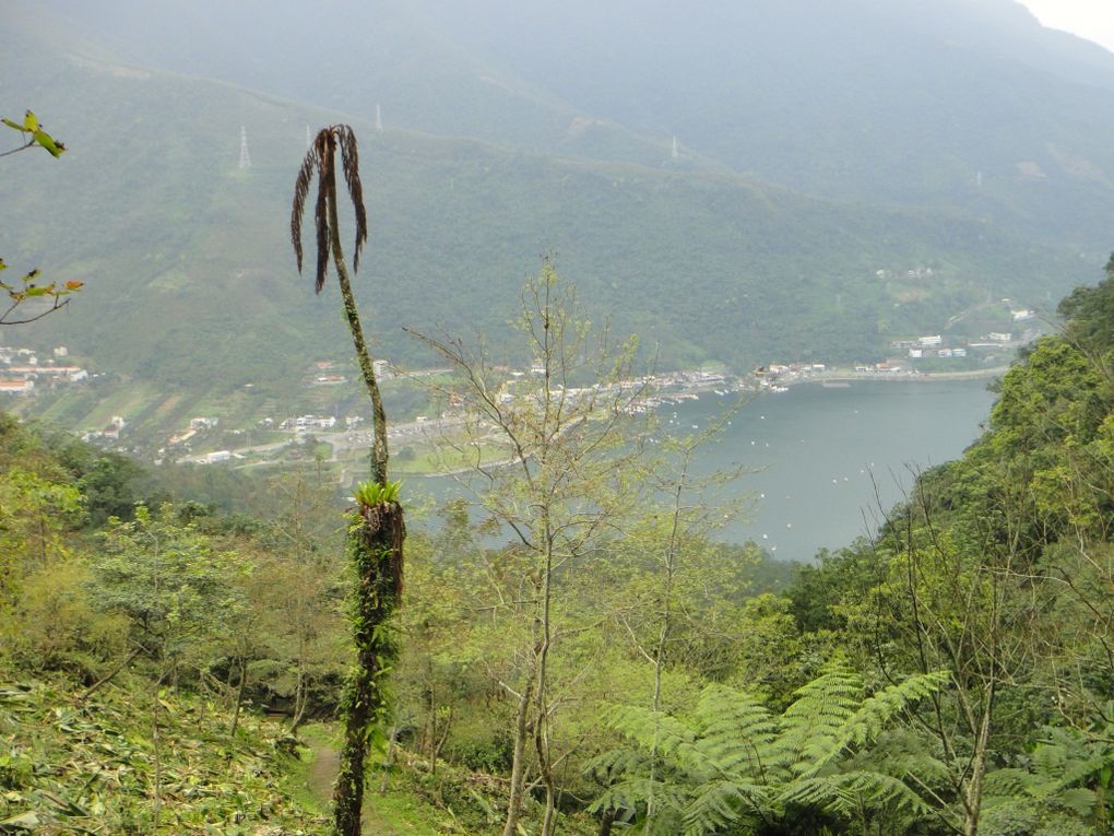 Hualien, lac des carpes, gorges Taroko, plages de Chihsingtan