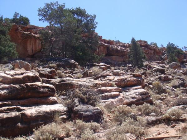 Album - Flinders-Ranges