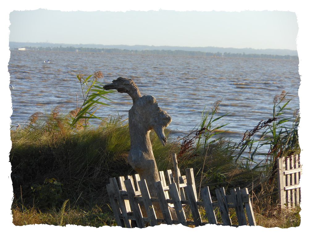 Randonnée à St Estéphe depuis le bord de la Gironde.