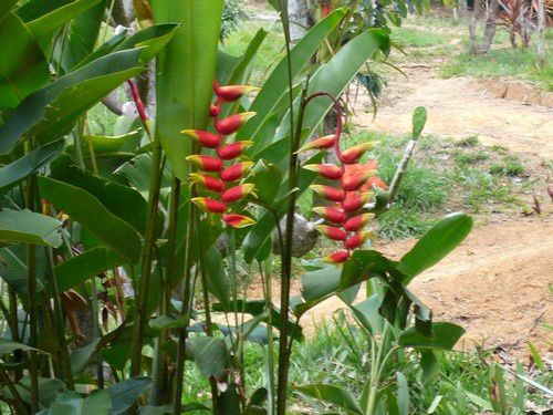 Album - Faune, flore, paysages et sous bois