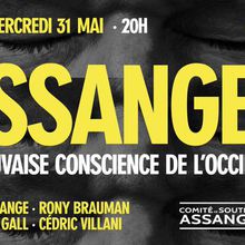 Assange, la mauvaise conscience de l'Occident. RV le 31 mai !