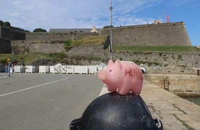 Cochonou à Belle Île