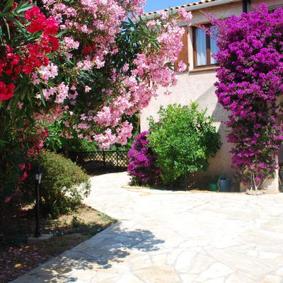 location en rez de jardin à La Londe les Maures