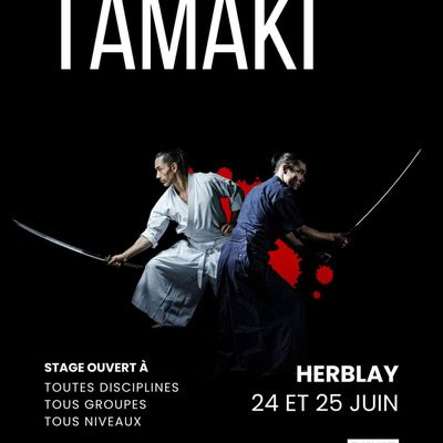 Stage avec Léo et Issei Tamaki à Herblay, 24 et 25 juin