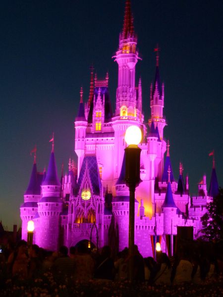 USA - Disney Land - Orlando Urlaub mit Kinder 