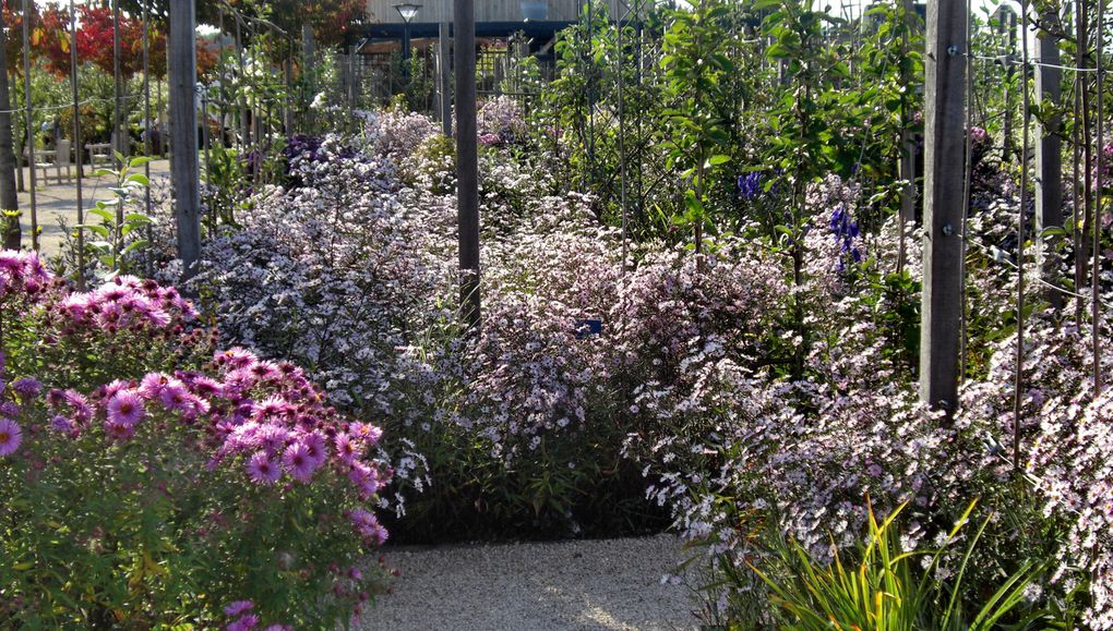 Ce jardin appartient au Conseil Régional de la Lorraine. Il se veut ainsi être une vitrine de ce qui se fait de mieux chez nous... Appartient au groupe transfrontalier des Jardins sans Limites...