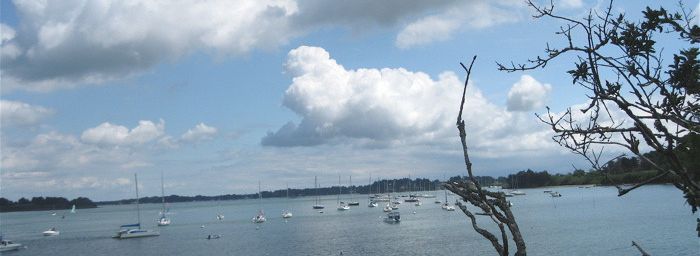 Chemin côtier en Morbihan