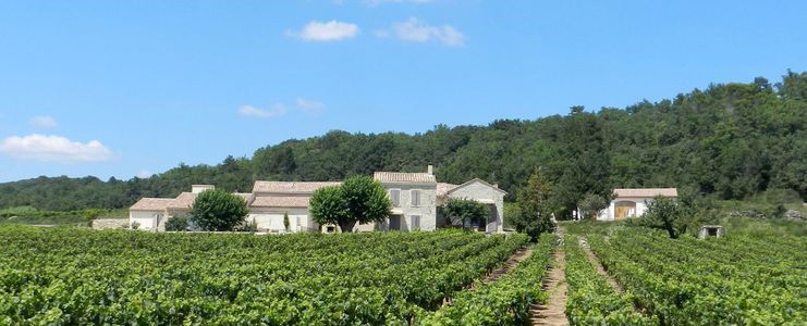 mas provençal ; location saisonière