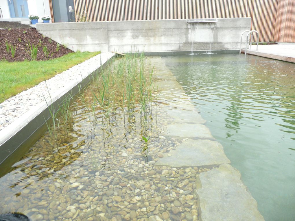 Des ateliers de menuiserie où les poussières de bois sont récupérées pour en faire des briques pour le chauffage, une piscine écolo et plein d'autres choses à Lintz en Autriche...