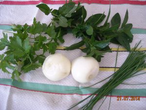 FLEURS DE COURGETTES AU RIZ ET AU HERBES