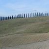 8 octobre - Siena  - Ponte d' Arbia