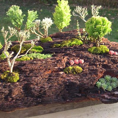 Penjing: Le paysage miniature