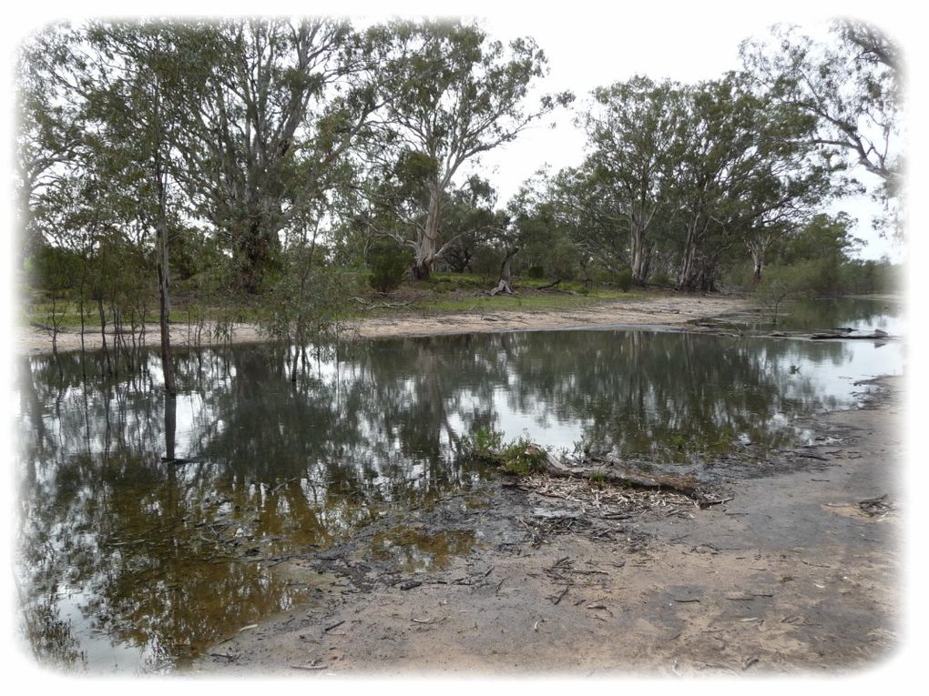 Album - Mildura - Mungo National Park