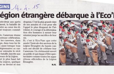 A PROPOS DE CAMERONE
