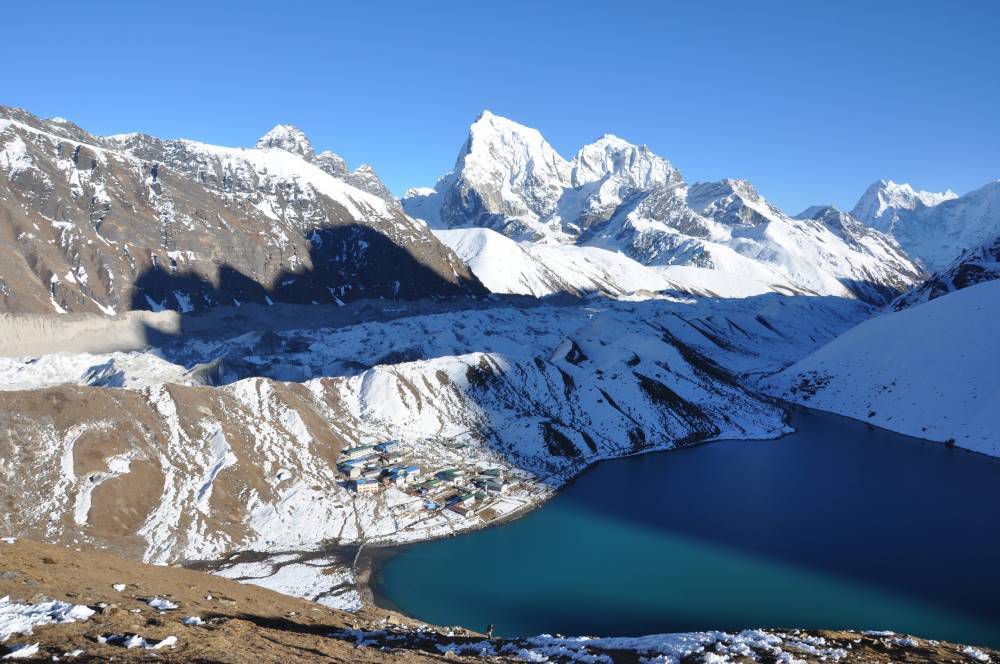 Népal, Khumbu, tétraogalle / snowcock