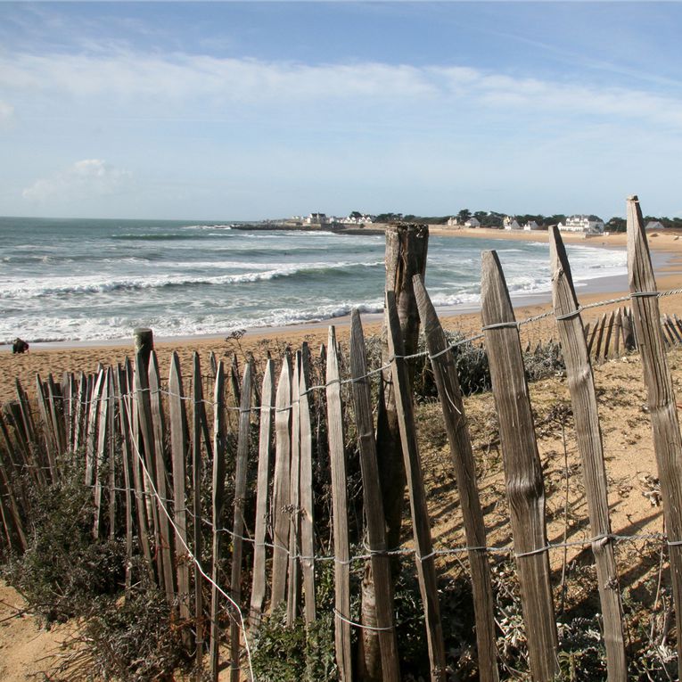 Album - Dunes et Plages