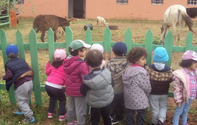 Creche Casablanca