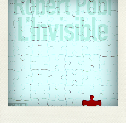 L'invisible, Robert Pobi